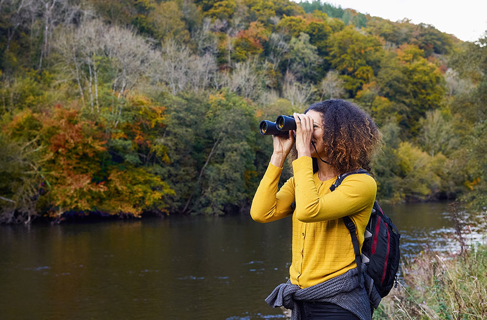 Get into birdwatching