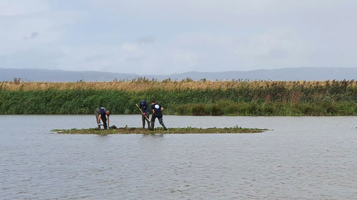 WWT staff working on a small island