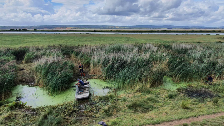 View of Severn estuary with staff working in reeds in the foreground