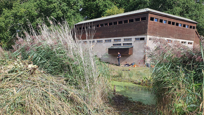 View of a Slimbridge hide from the reedbed
