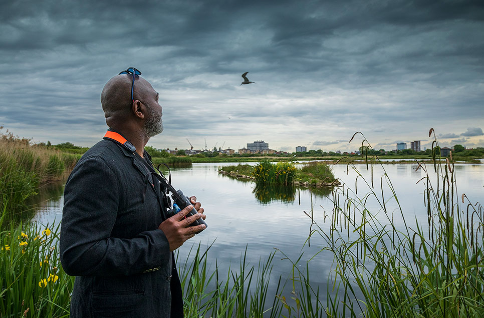 View: The Urban Birder Course