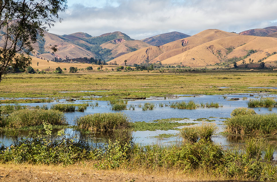 WWT Chief Executive Sarah Fowler leads team to vital international wetlands conference 