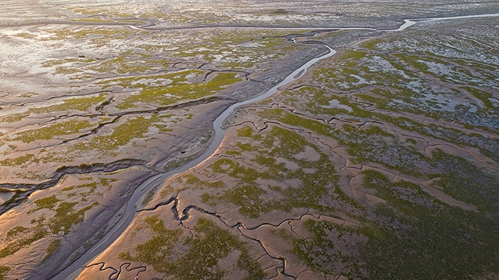 Saltmarsh at low tide in Kent