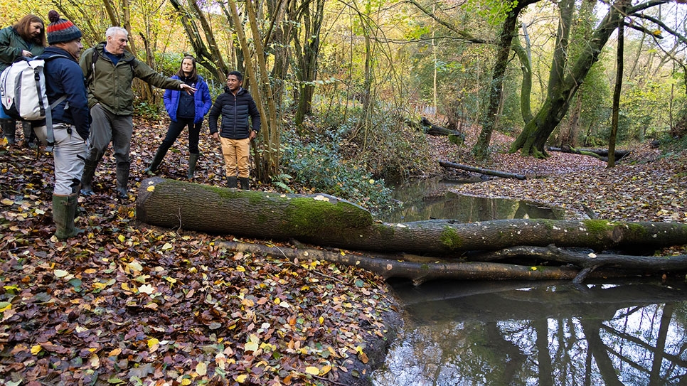 WWT secures funding to help promote Natural Flood Management in the Thames Valley