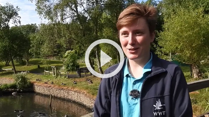 Chandani, volunteer placement at WWT Washington being interviewed by a pond