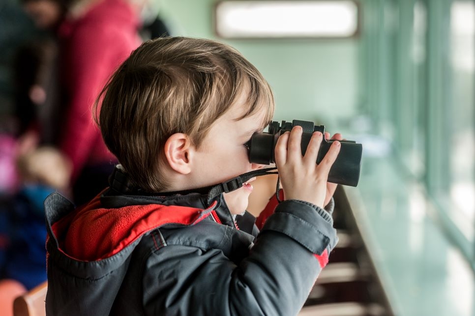 February half term family activities at Welney Wetland Centre