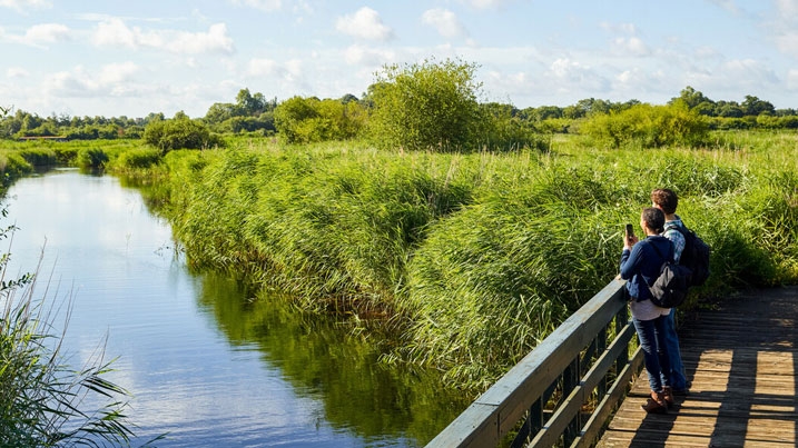 A couple overlooking a river and reedbed on a sunny summer's day