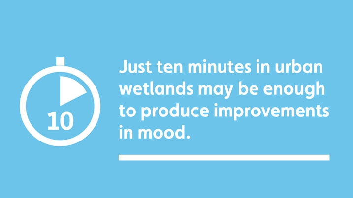 Infographic highlighting that just ten minutes spent in urban wetlands can be enough to improve a person's mood