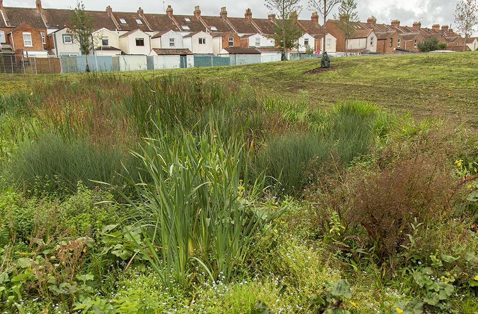 Could urban areas be about to get wetter? Natural England’s new Green Infrastructure Standards