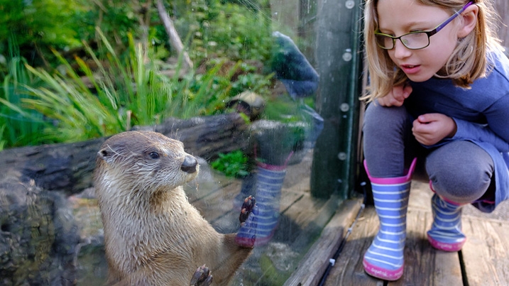 Child with American River Otter