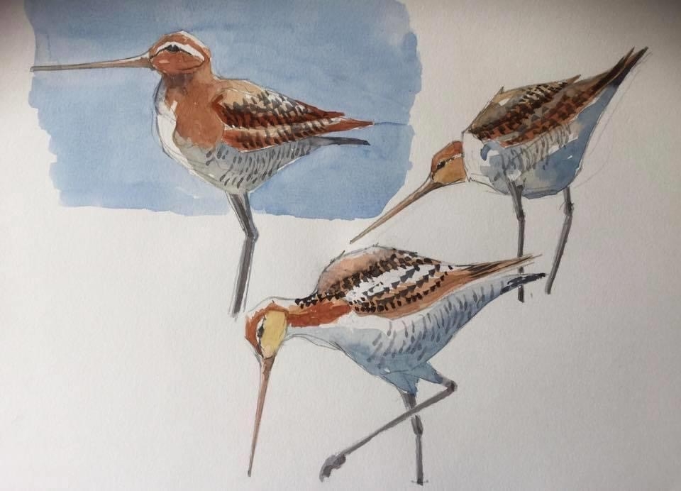 Meet the Artist - Martin Gibbons