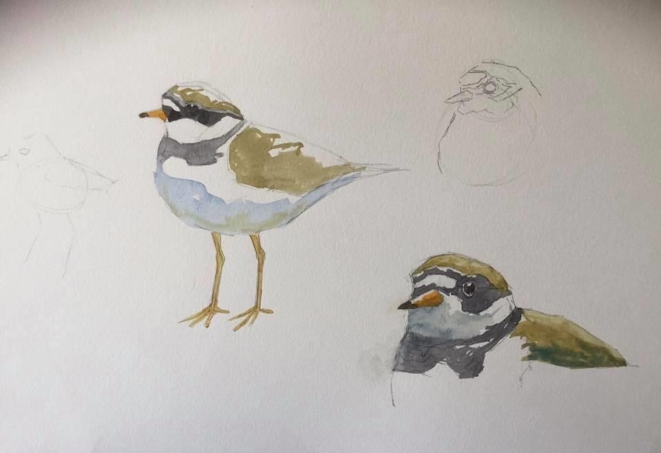 Meet the Artist - Martin Gibbons