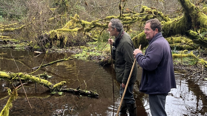 Staff wading in water in wet woodland