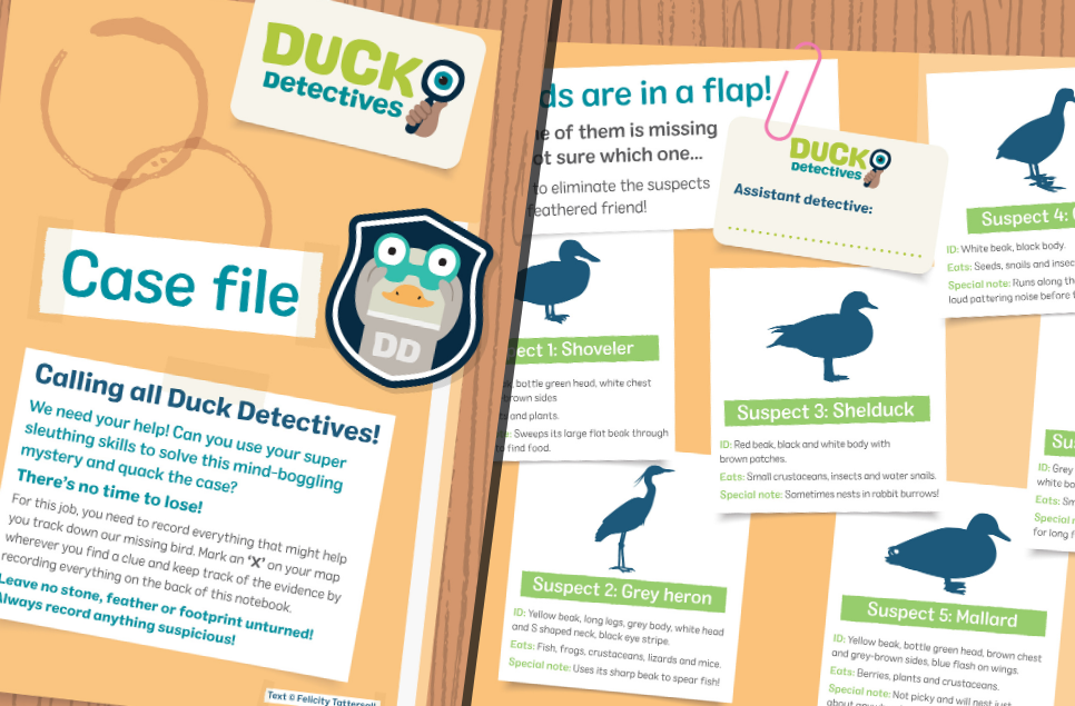 Duck Detectives: how to be a wetland nature PI this April