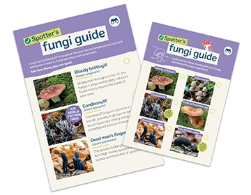 Spotters fungi guide image for web LR.jpg