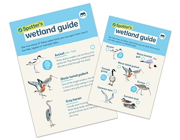 Spotters wetland guide image for web LR.jpg