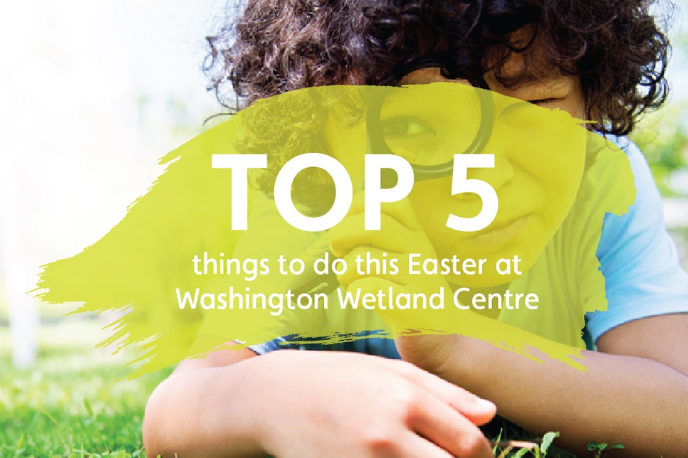 Top 5 things to do this Easter