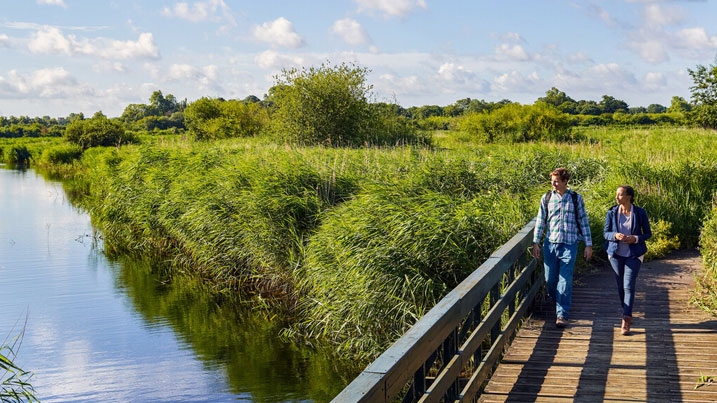 A couple walking over a boardwalk by a beautiful sunny wetland