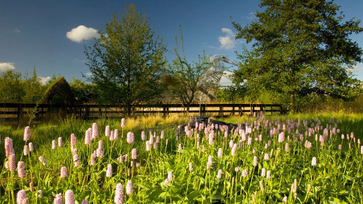 Gardens in bloom at London Wetland Centre