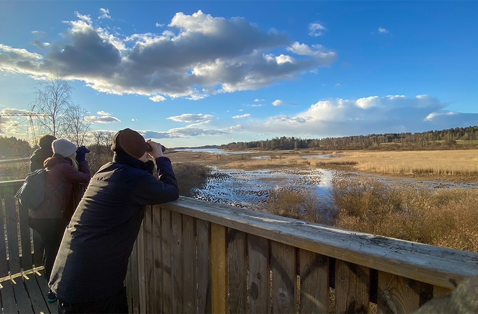 A birdwatching code of conduct: How to respect our wetland nature while still getting the most out of your birdwatching experience 