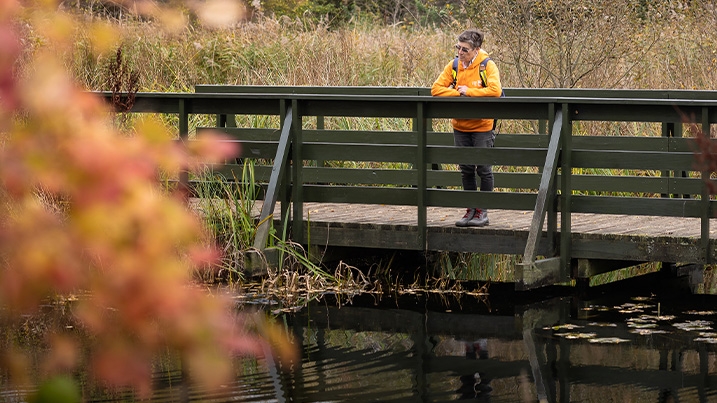 Judith on a boardwalk bridge over the water looking at the ripples below