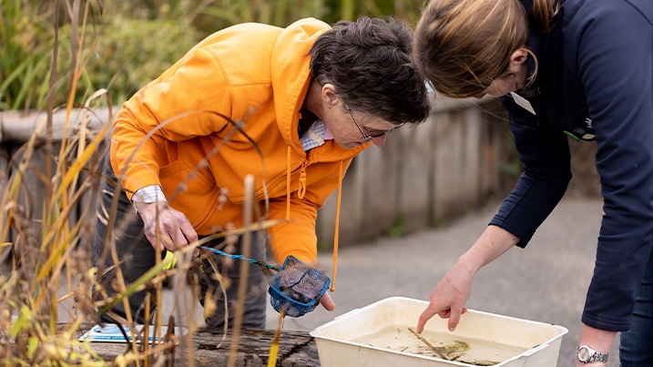 Judith and a member of WWT staff engaged in a pond dipping activity, looking into the tray at what they have scooped out