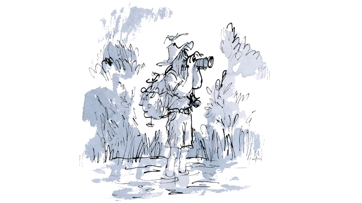Quentin Blake illustration of a person standing in a lake with binoculars and a bird on their head
