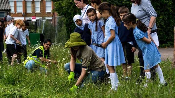 A group of school children watching a couple of adults digging and gardening