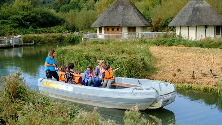 Boat Safari in summer at WWT Arundel Wetland Centre