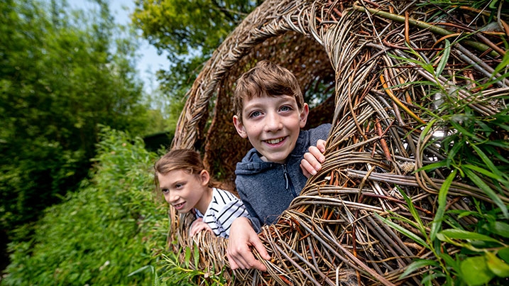 Reedbed Willow Sphere