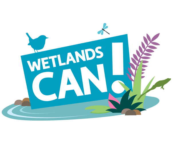 Wetlands Can logo sitting in an illustration of a pond with a bird perching, dragonfly hovering and frog leaping