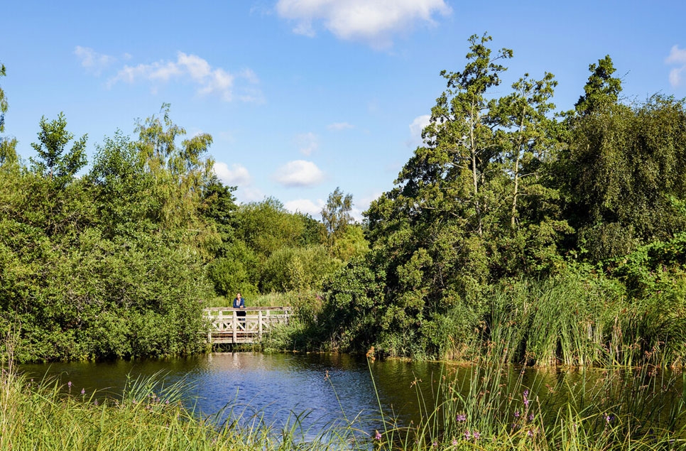 Why spending time near water can boost your mental health