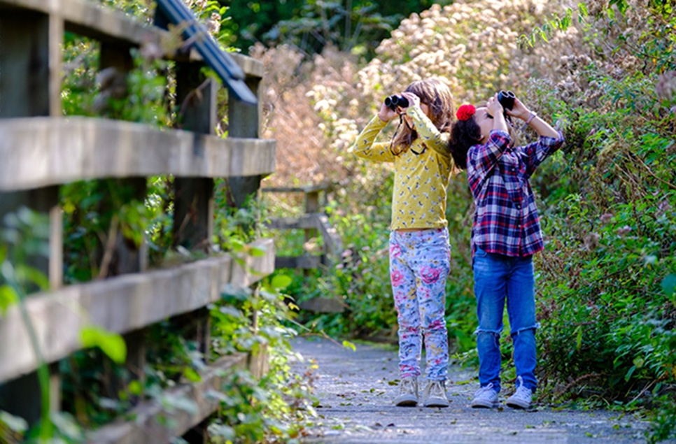 Step into Summer at Castle Espie