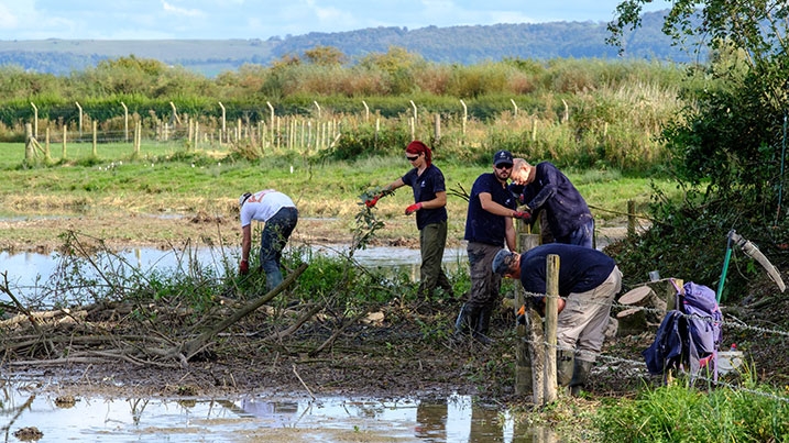 Reserve work at WWT Slimbridge Wetland Centre