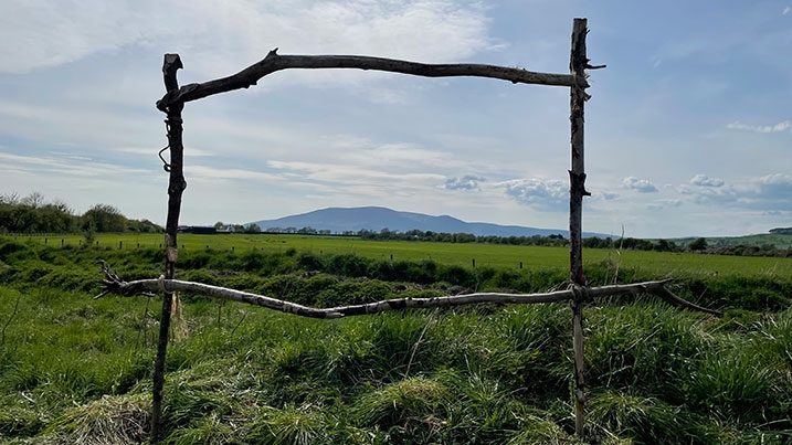 A sculpture in the grounds of WWT Caerlaverock