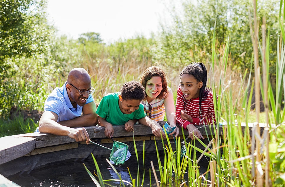 Enjoy wetland adventures of imagination, inspiration and illustration this summer