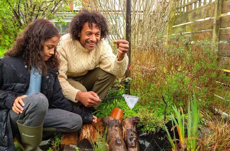 Mini-wetland revolution could help wildlife beat the heat and boost urban biodiversity 