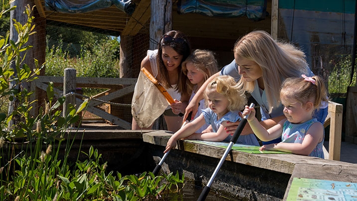 A group of children and adults pond dipping