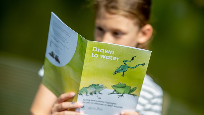A child reading the trail map for the WWT Quentin Blake trail