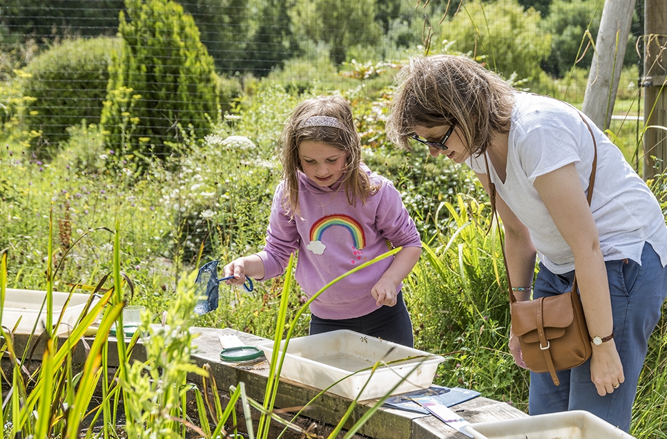 View: Pond dipping