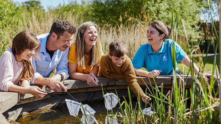 WWT Castle Espie calls on NI nature lovers to make a big splash for wildlife