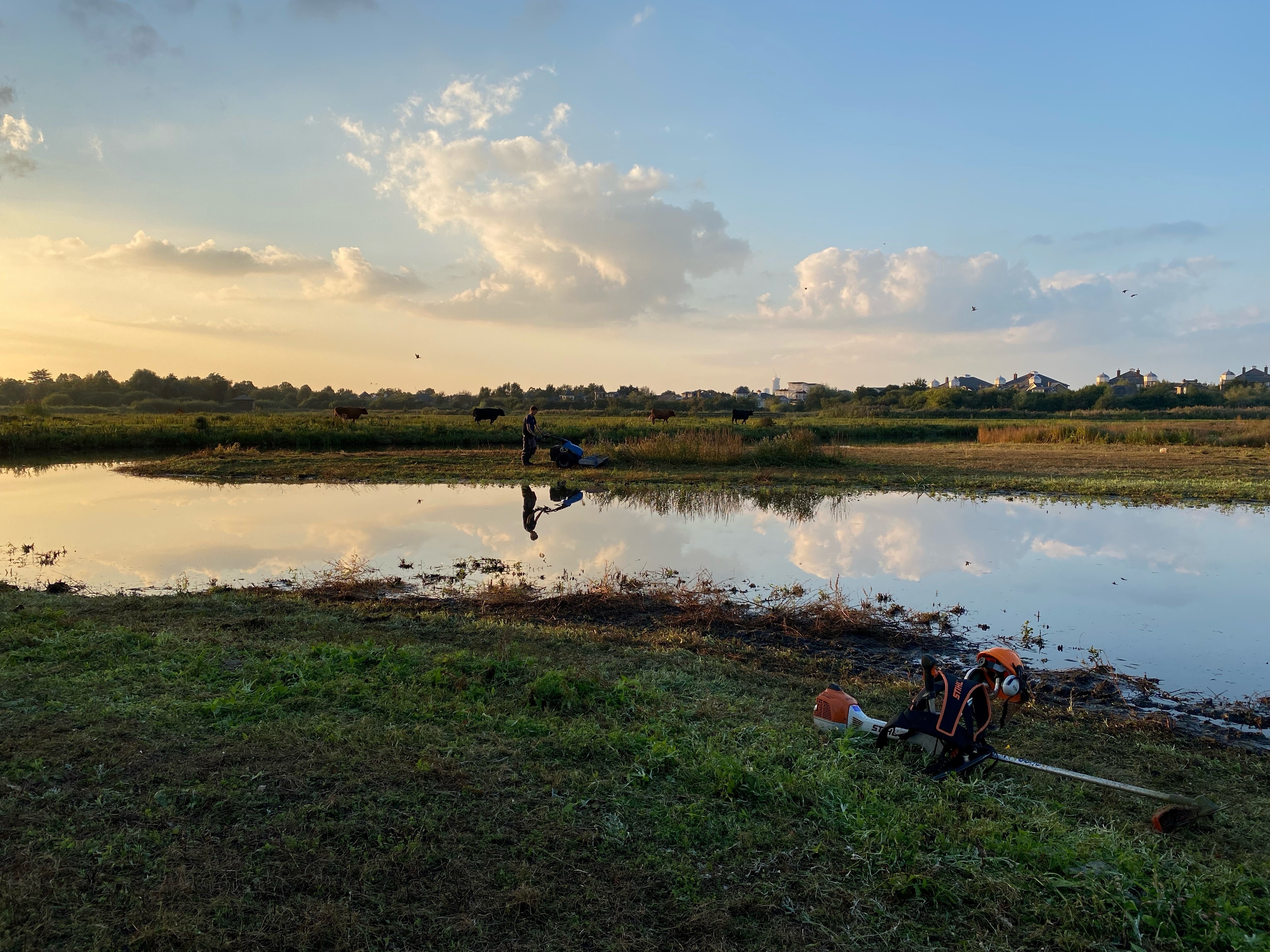 Upcoming habitat management works on the reserve in August 2026