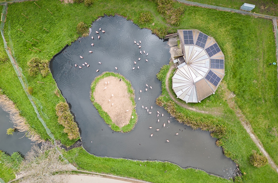 Flamingo house from above - Becs 966x635.jpg