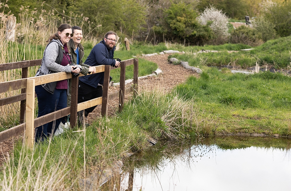 Amphibian ponds - Drawn to Water top tips