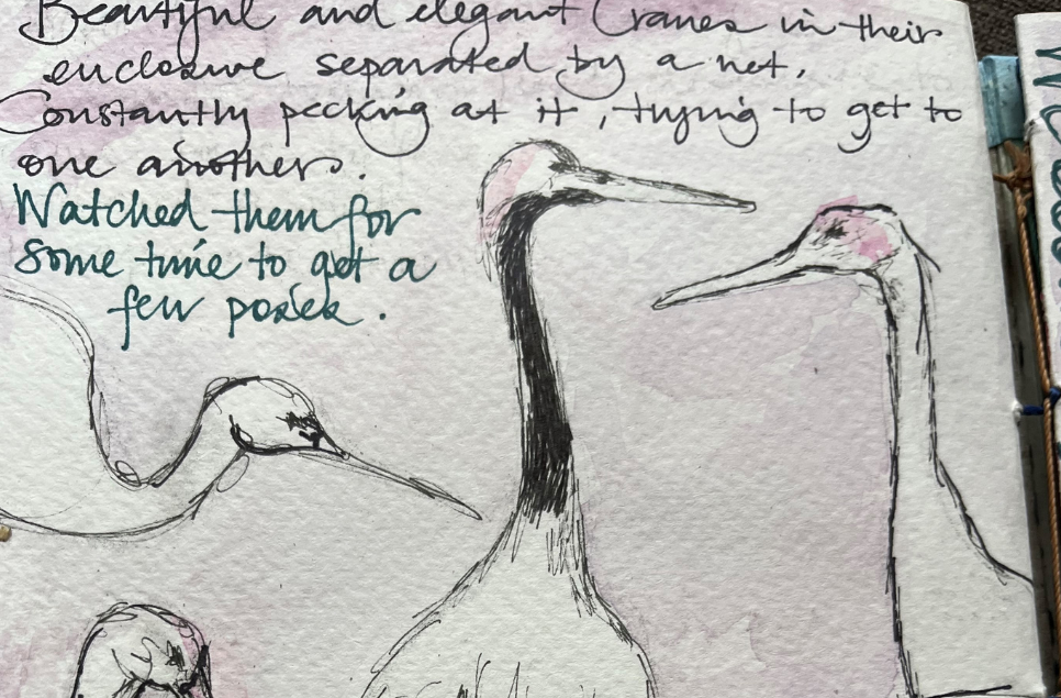 View: Nature Journalling Group