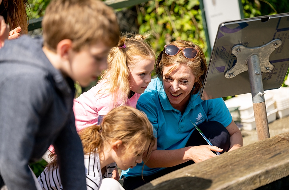 Incredible Insects Learning Session 8-11 yrs