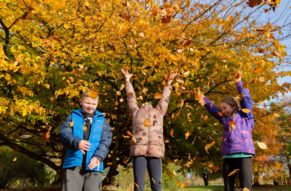 Fill your senses with the autumn season at WWT Castle Espie