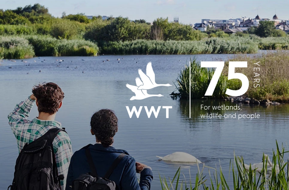 75 years of wetland conservation