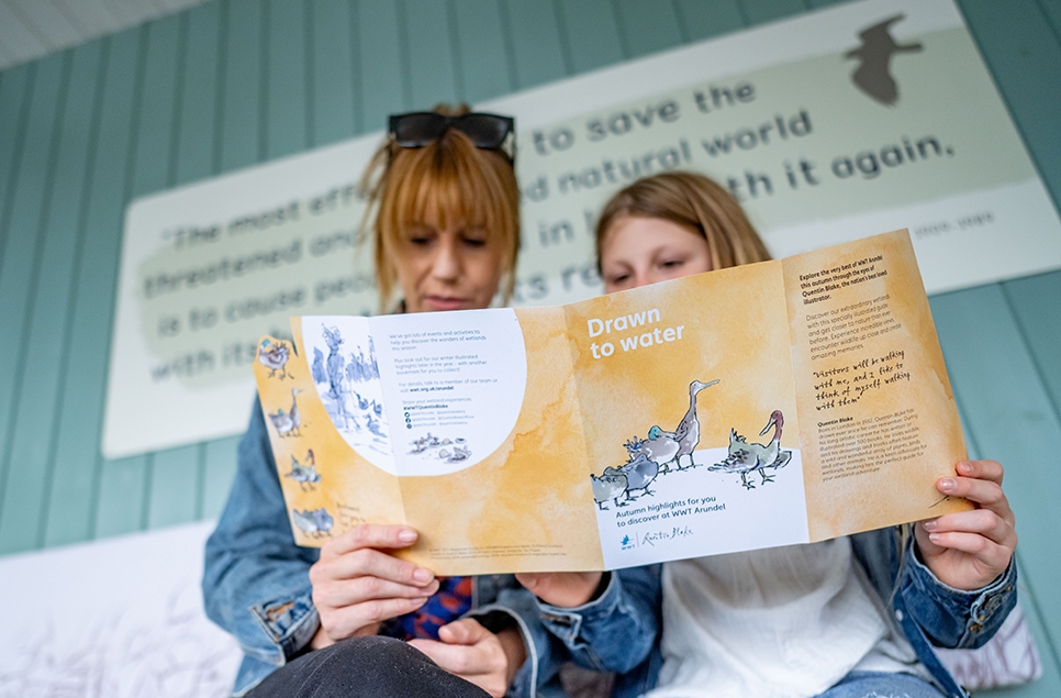 Let WWT and the art of Sir Quentin Blake inspire an autumn of wetland adventure
