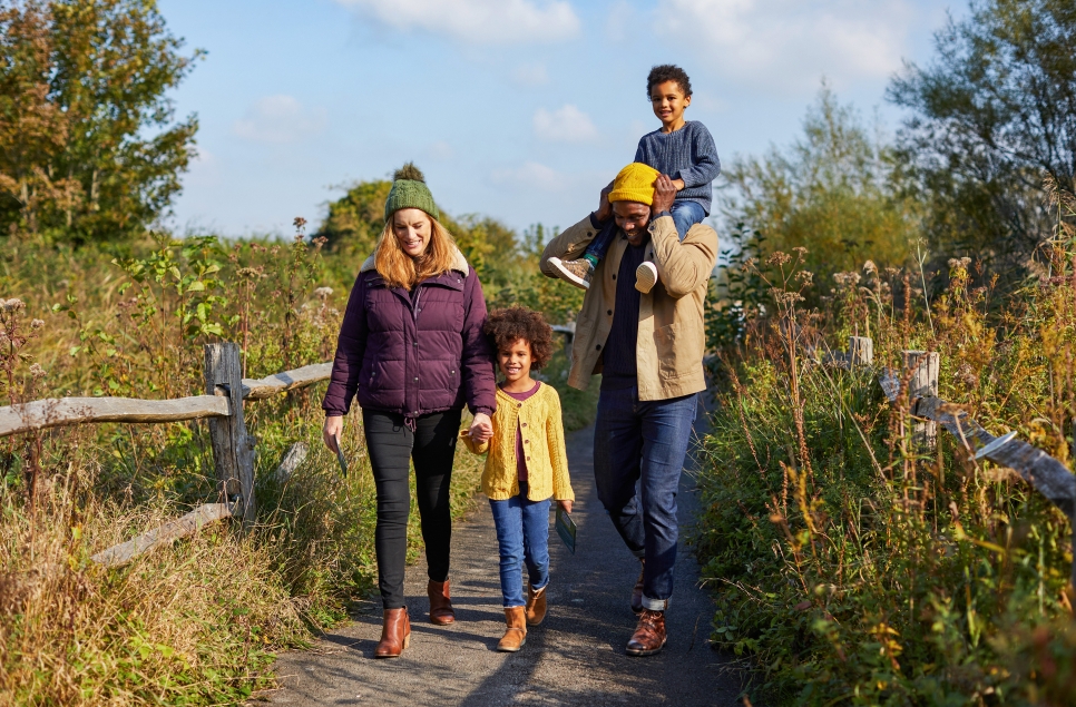 Uncover all things October at Castle Espie